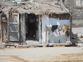 Photo 10.png